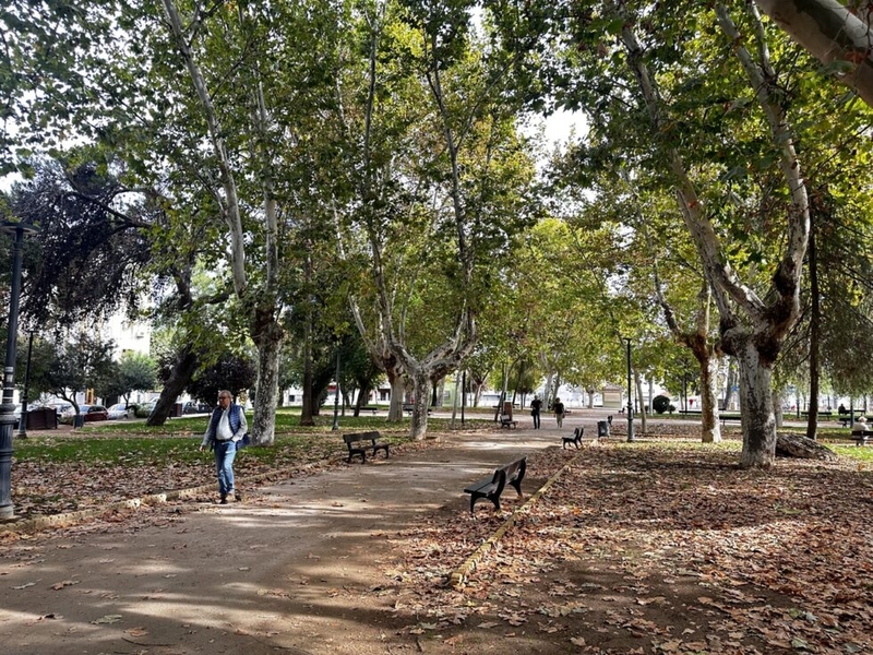 Publicada la licitación del proyecto de mejora y adecuación ambiental del Parque López de Ayala