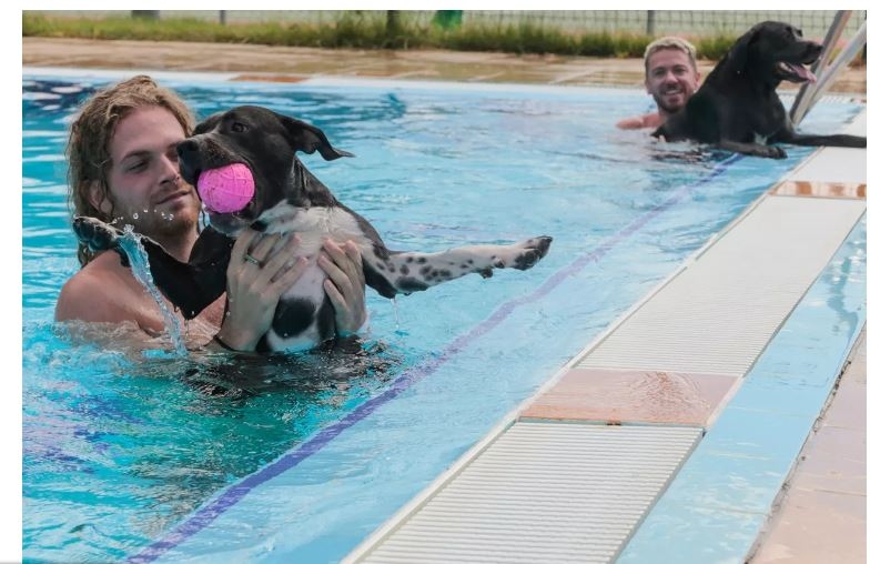 La Piscina del Complejo Polideportivo Guadiana acoge el próximo 1 de septiembre la VII edición de “Patas al agua”