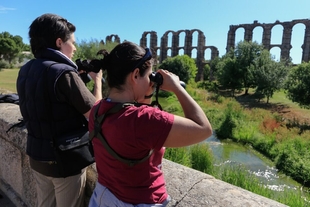 Adjudicado el contrato para la creación y organización de diferentes experiencias turísticas aunando naturaleza y patrimonio