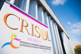 El Ayuntamiento adjudica el contrato para el desarrollo de las actividades del Programa Crisol