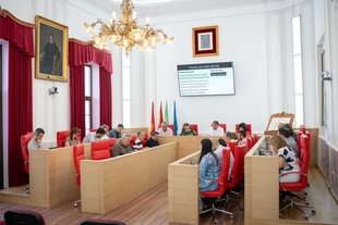 El Pleno Municipal aprueba la declaración Institucional con motivo del Día Internacional del Orgullo LGTBI